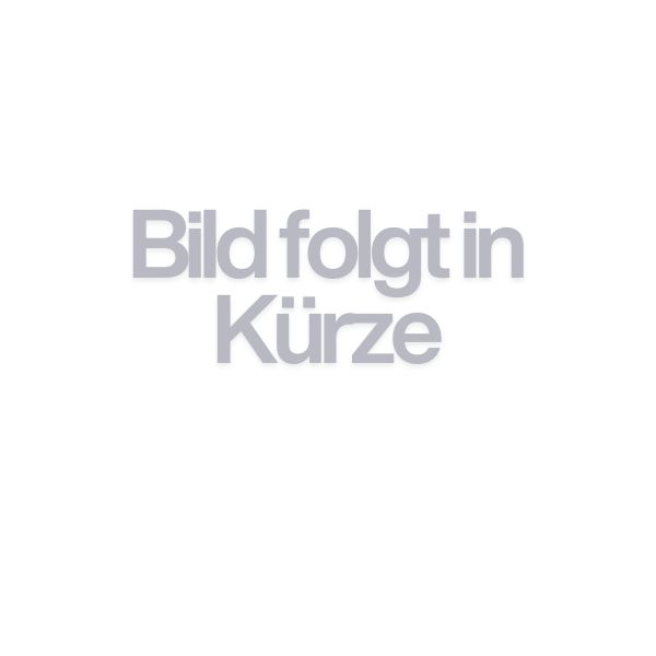 Anycubic ACE 2 Pro Мултицветна система